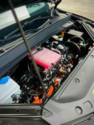 Geely Ex5 0.0 Pro (60,22kwh) 430km